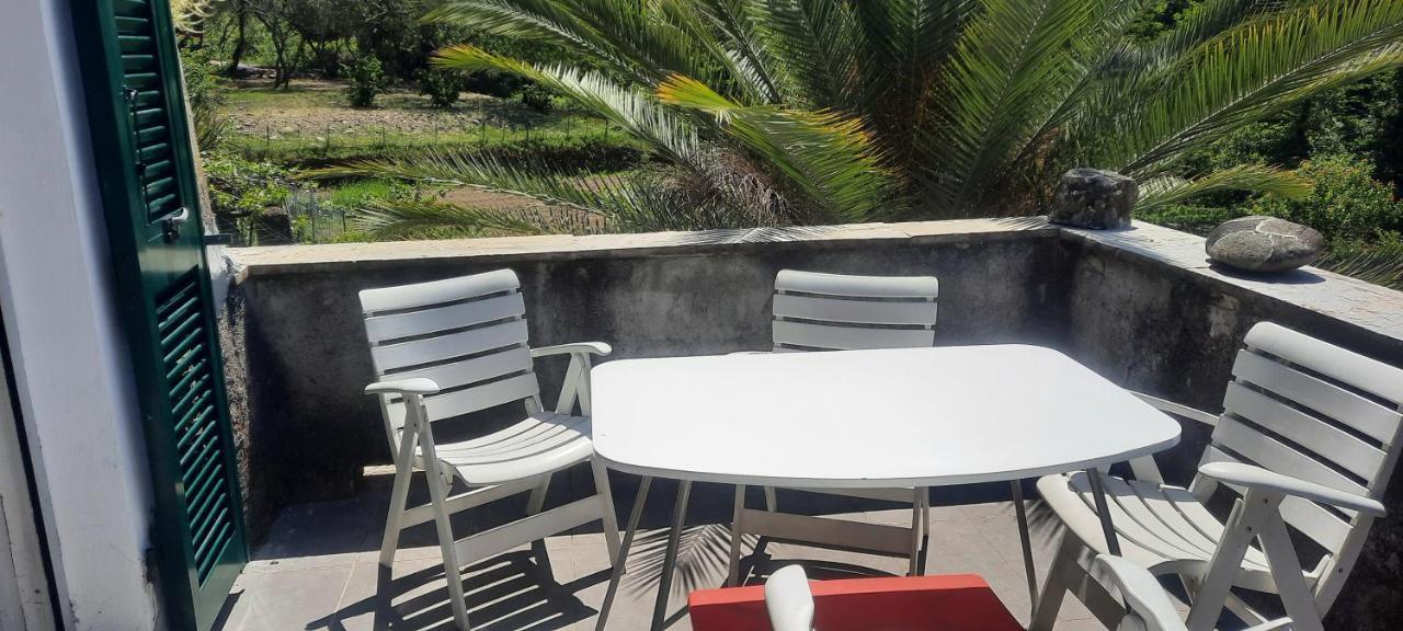 Vecchio Mulino Fontona Girasole Apartment Chiesanuova  ภายนอก รูปภาพ