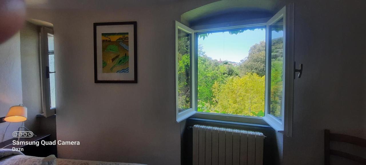 Vecchio Mulino Fontona Girasole Apartment Chiesanuova  ภายนอก รูปภาพ